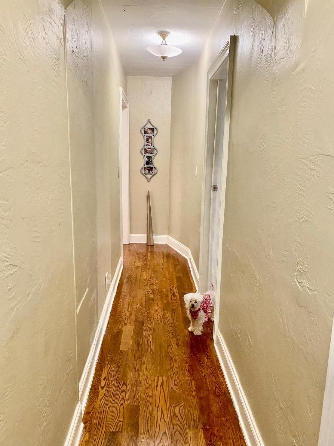Villa Olivia Guest Roomsハリウッド エクステリア 写真